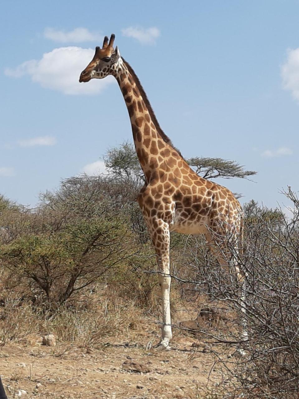 Sandai Resort Lake Baringo Ol Kokwe Exterior foto